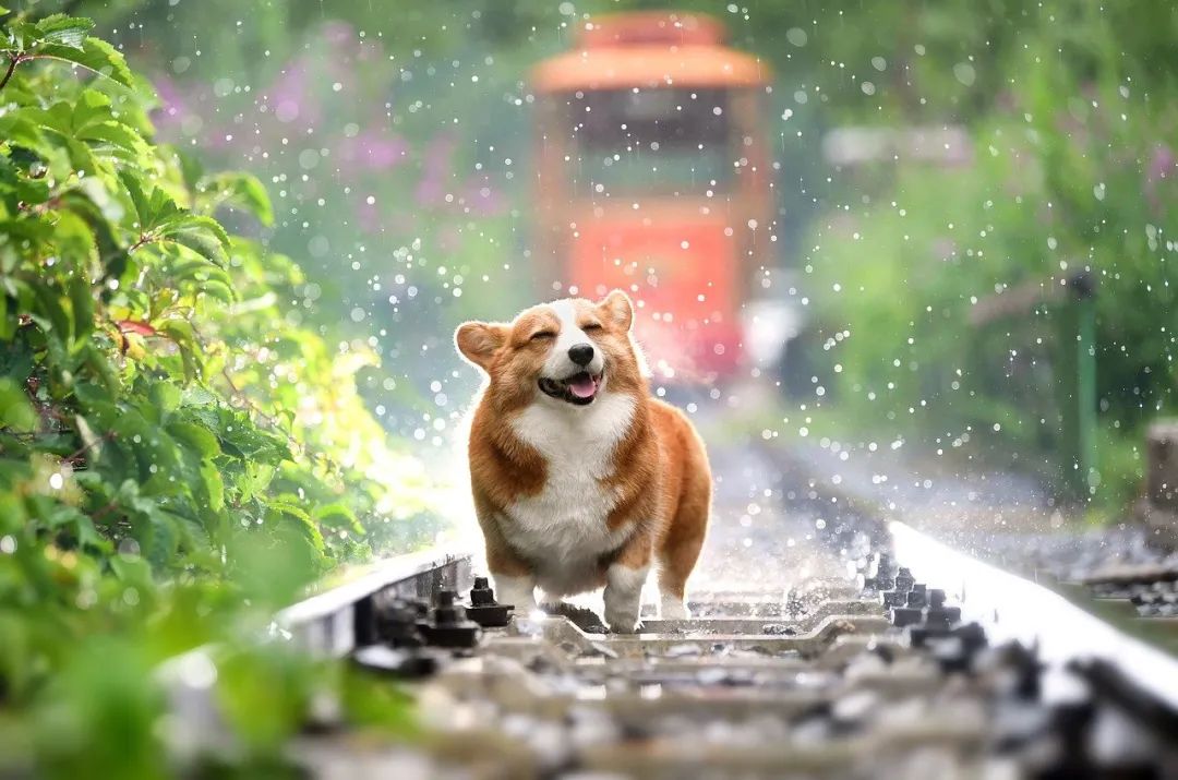 1025984250612c83a0104be4.53709413.jpeg