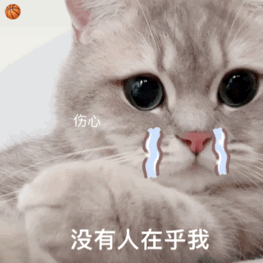 å¾ç