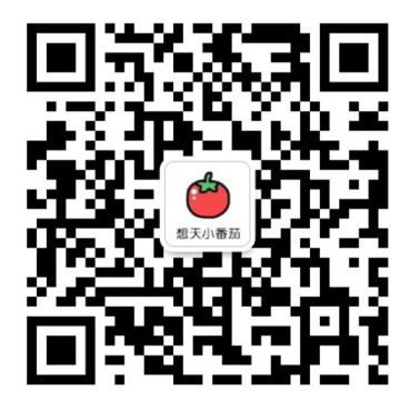 1637118382829800.png 小番茄1.png