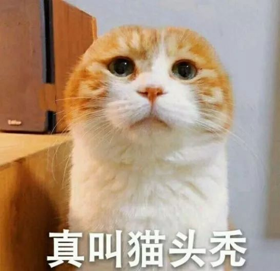 16.png