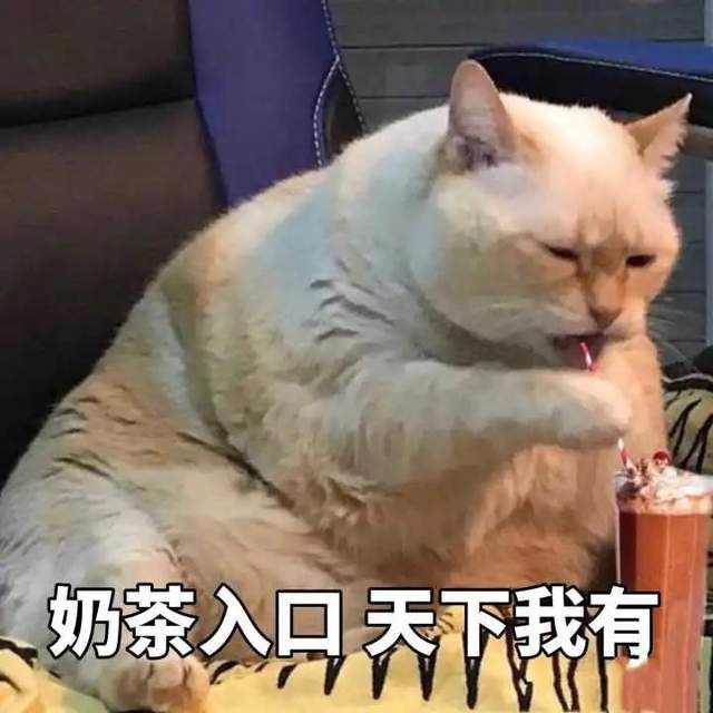 1630117762278285.jpeg